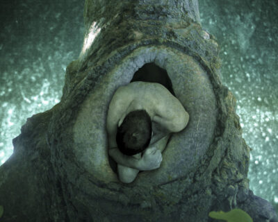 Darwinn Harnack: Libertação