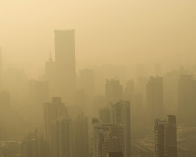 Jackson Torres: A “Economia Verde” basta?