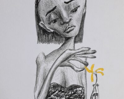 Luana Plebani (arte) & Werner Schön (texto): Dani, ela