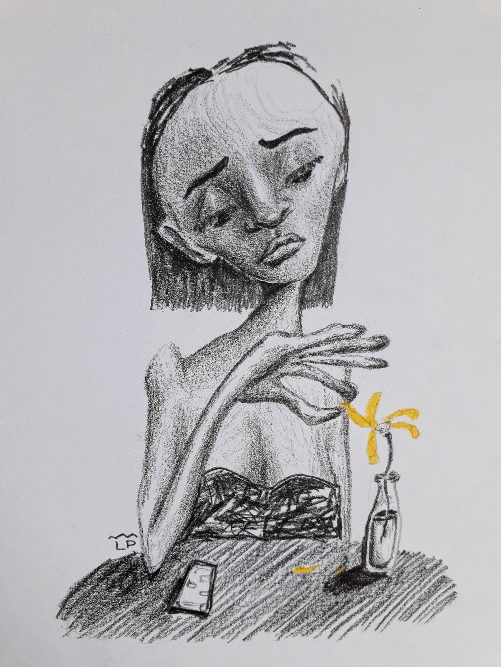 Luana Plebani (arte) & Werner Schön (texto): Dani, ela