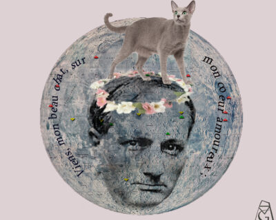 A gata de Baudelaire: breve tentativa de abordar a questão dos direitos dos animais