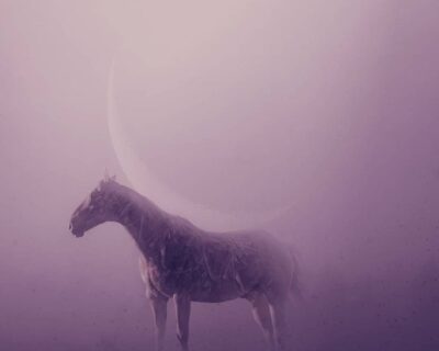 Boi de metal, cavalo de terra.