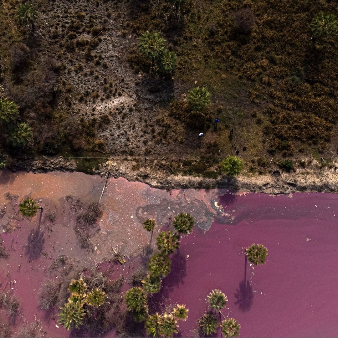 O desastre ambiental – ao vivo e a cores