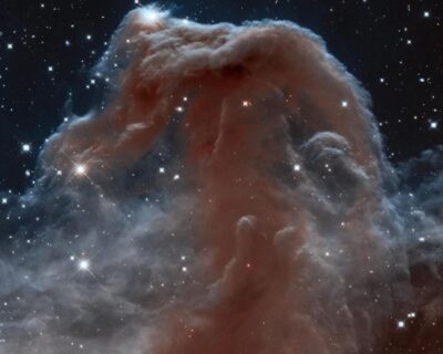 Órion no céu do norte