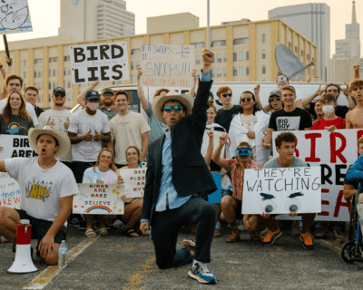 Pássaros não são reais