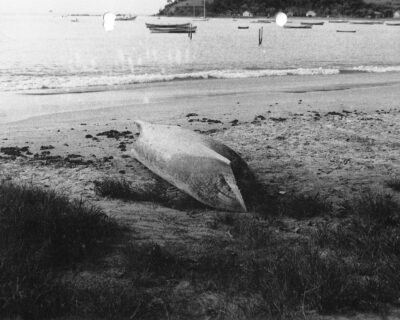 Nossa história – ato 12