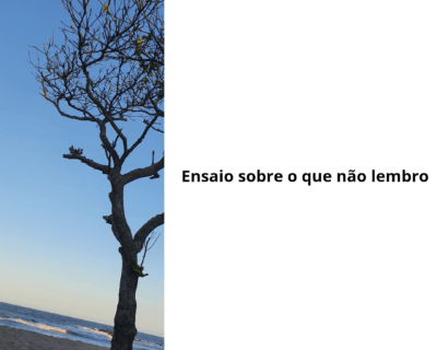 Ensaio sobre o que não lembro