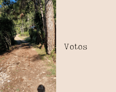 Votos