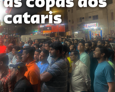 As copas dos cataris