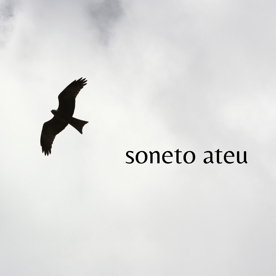 Soneto ateu